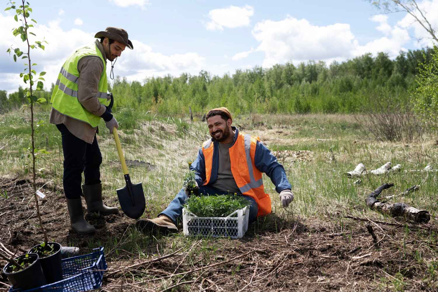 Best Arborist Services Near Me  in Crooked Lake Park, FL